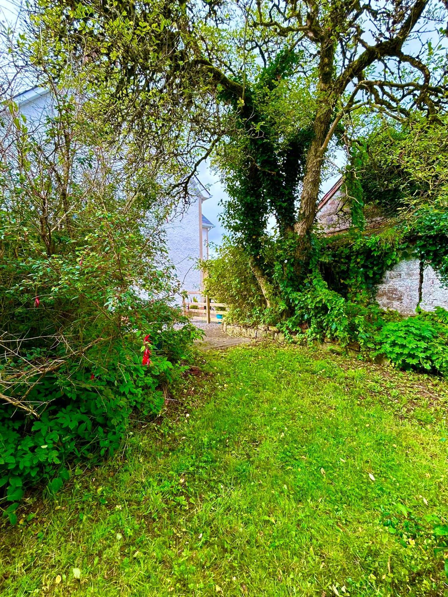 Lime Tree House Villa Maguires Bridge Exteriör bild
